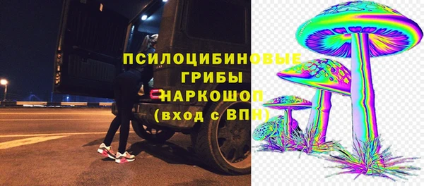 mdpv Новодвинск