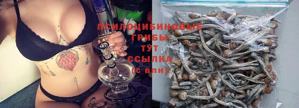 ALPHA PVP Нязепетровск