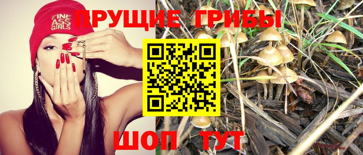 Псилоцибиновые грибы MAGIC MUSHROOMS Пятигорск