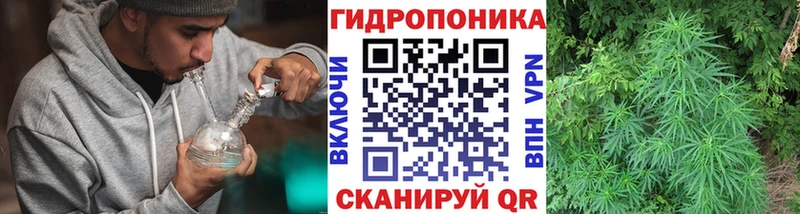 цена   Пятигорск  Шишки марихуана Ganja 